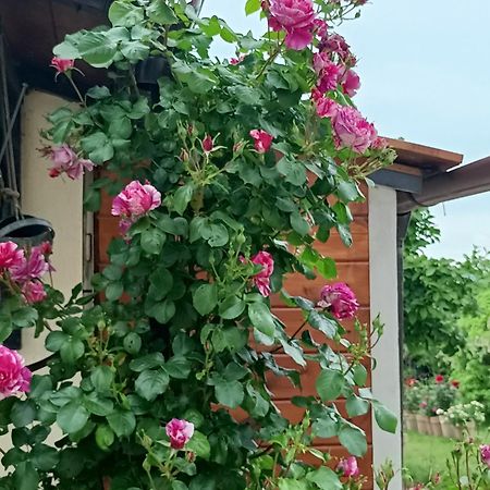 Apartamento Colle Perazzoni Fiano Romano Exterior foto