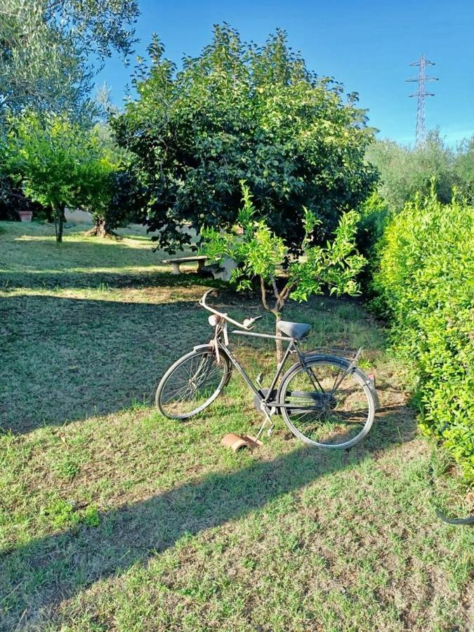 Apartamento Colle Perazzoni Fiano Romano Exterior foto