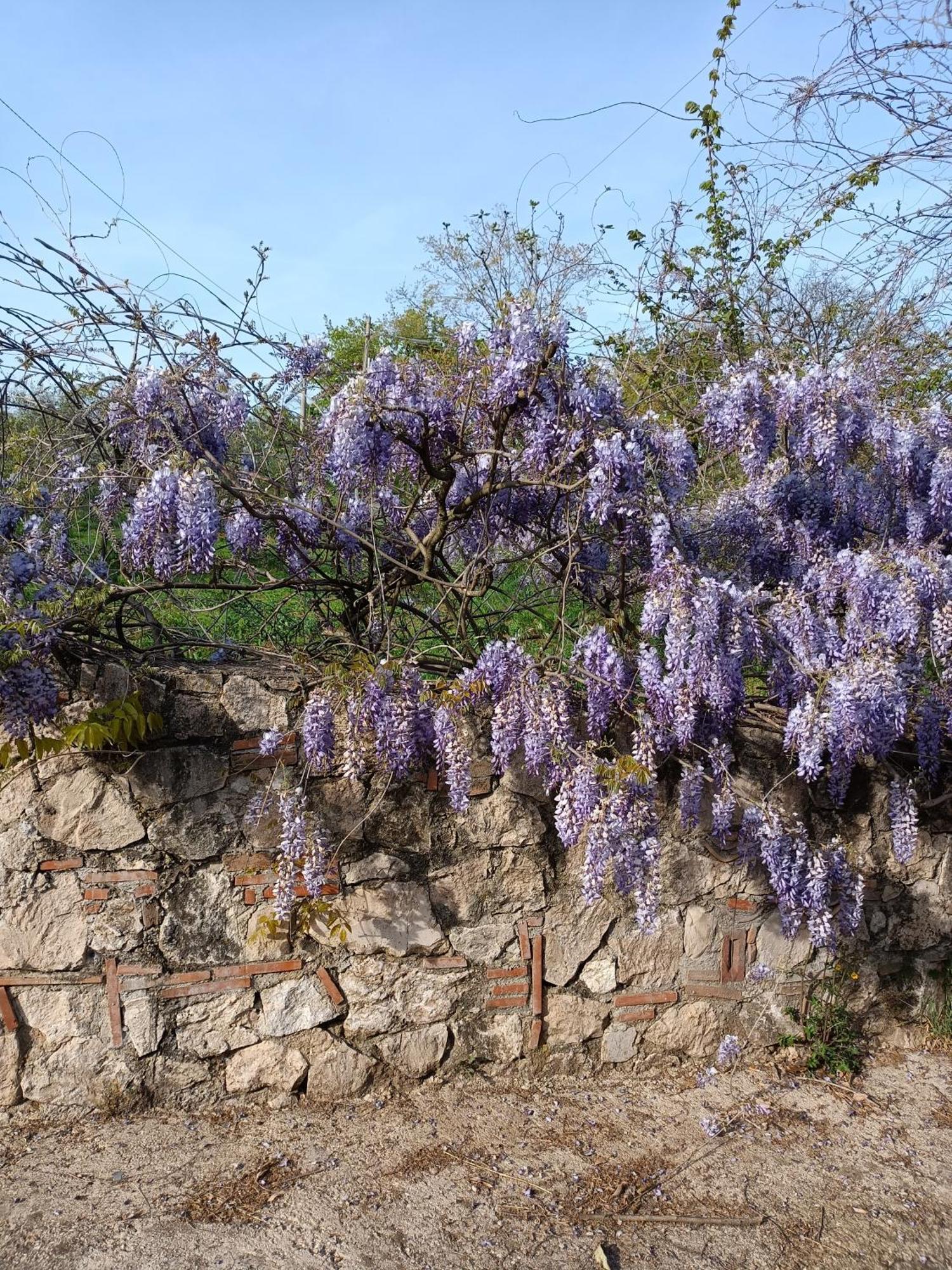 Apartamento Colle Perazzoni Fiano Romano Exterior foto