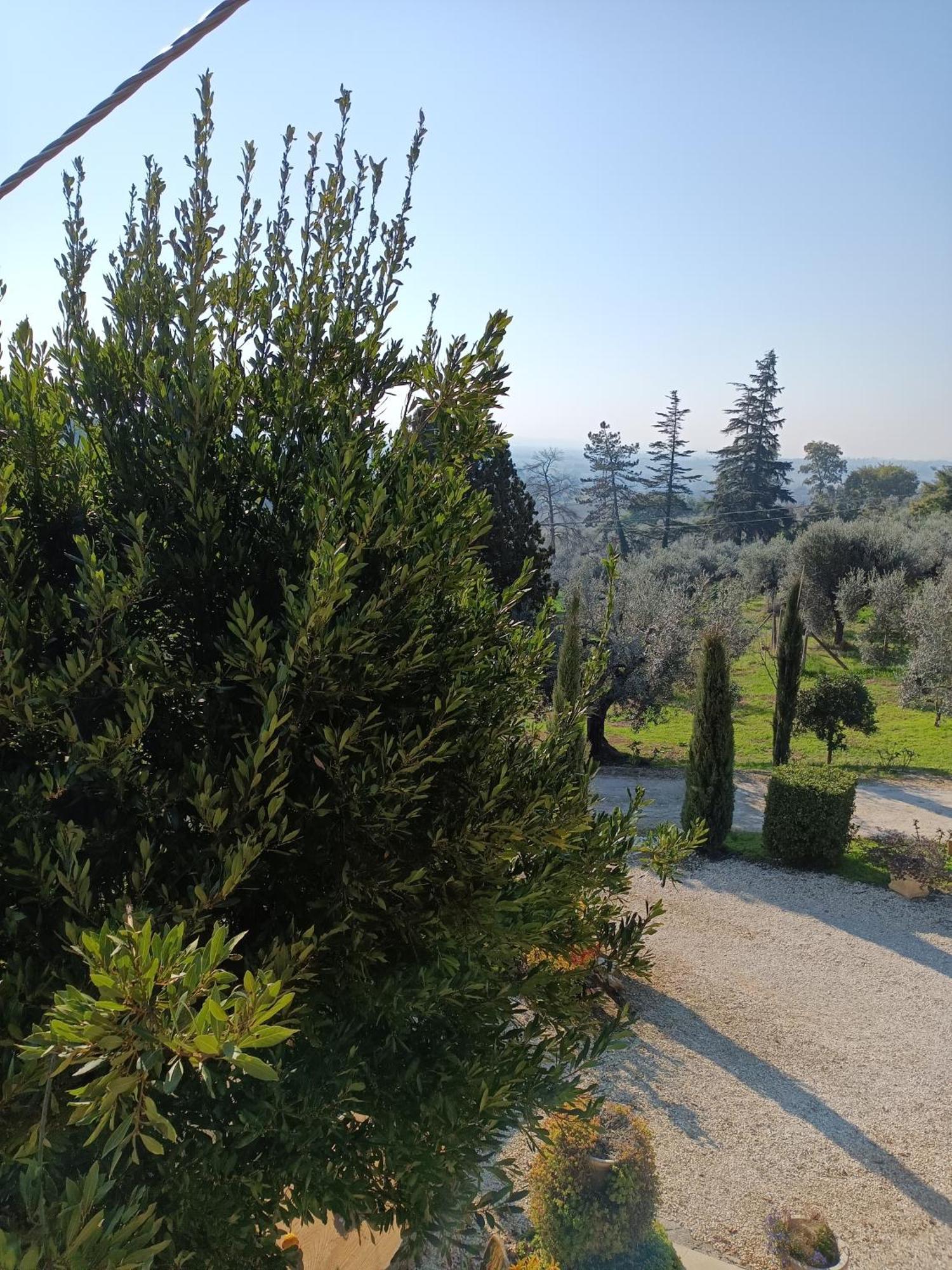 Apartamento Colle Perazzoni Fiano Romano Exterior foto