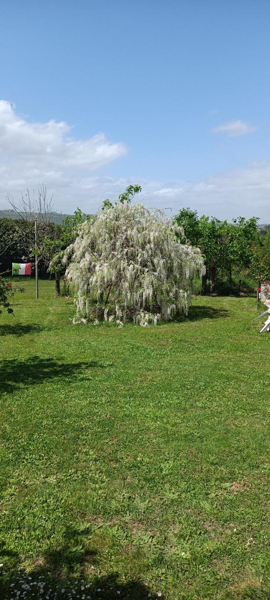 Apartamento Colle Perazzoni Fiano Romano Exterior foto