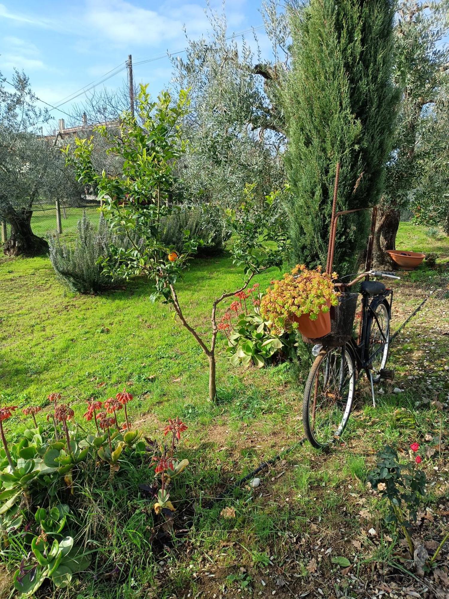 Apartamento Colle Perazzoni Fiano Romano Habitación foto