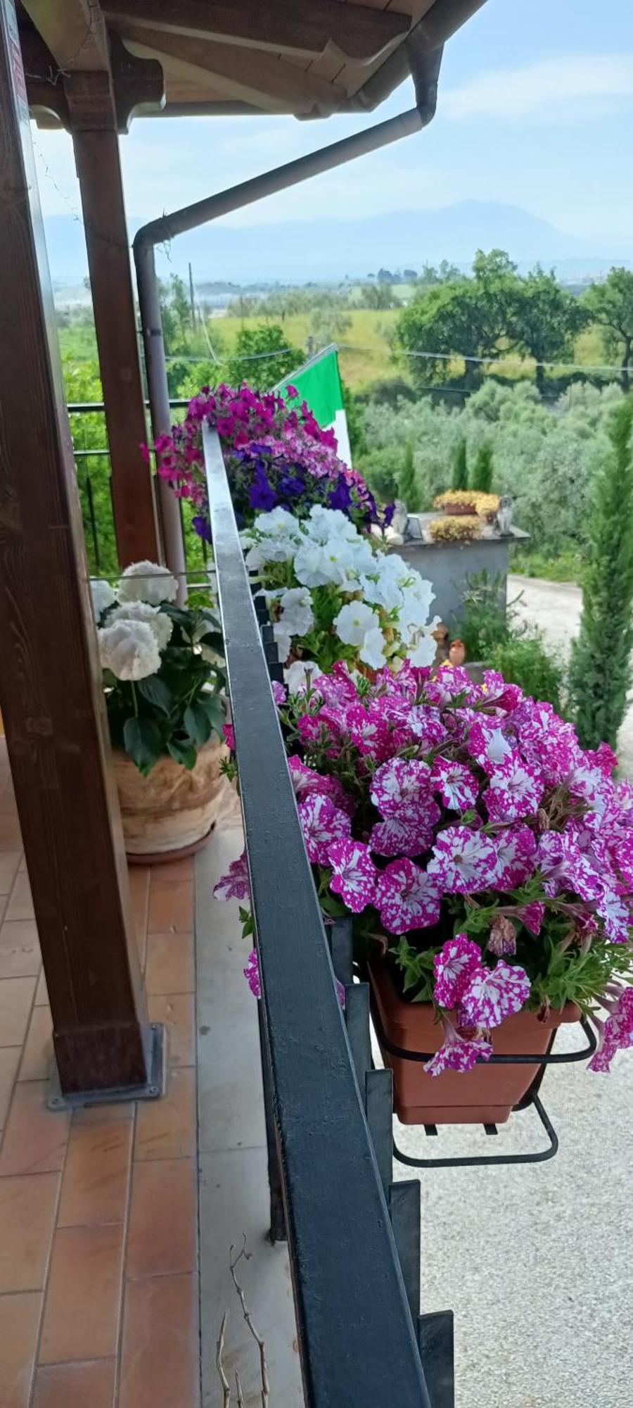 Apartamento Colle Perazzoni Fiano Romano Exterior foto